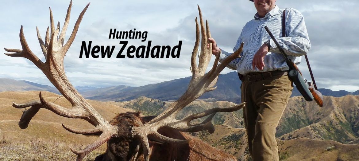 Hunting in New Zealand Hunting in spectacular scenery